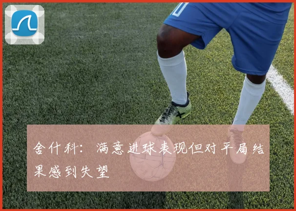 舍什科：满意进球表现但对平局结果感到失望